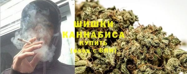 PSILOCYBIN Чегем