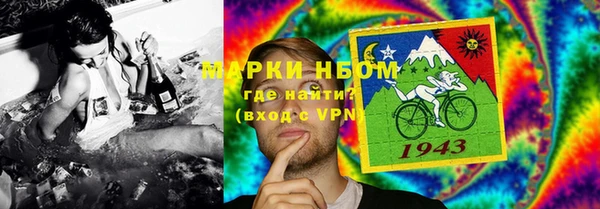 PSILOCYBIN Чегем