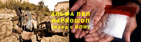 PSILOCYBIN Чегем
