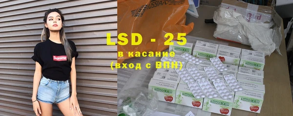 PSILOCYBIN Чегем