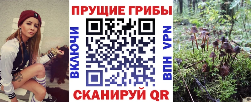 Галлюциногенные грибы GOLDEN TEACHER  закладка  блэк спрут ССЫЛКА  Беломорск 